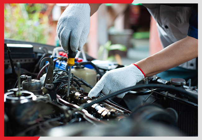 shutterstock_1912050442