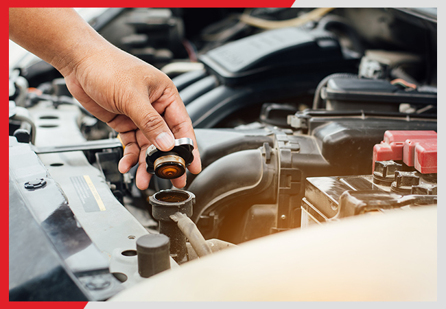 shutterstock_637685794